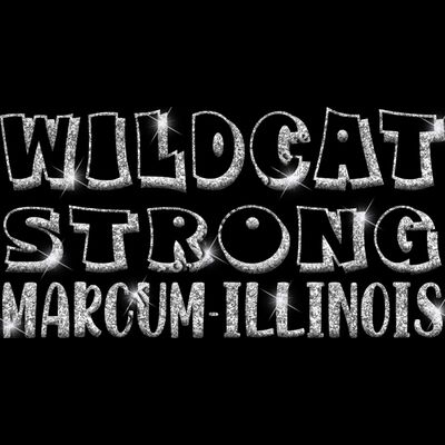 GLT97 SILVER GLITTER Thumbnail