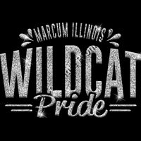 GLT62 SILVER GLITTER Thumbnail